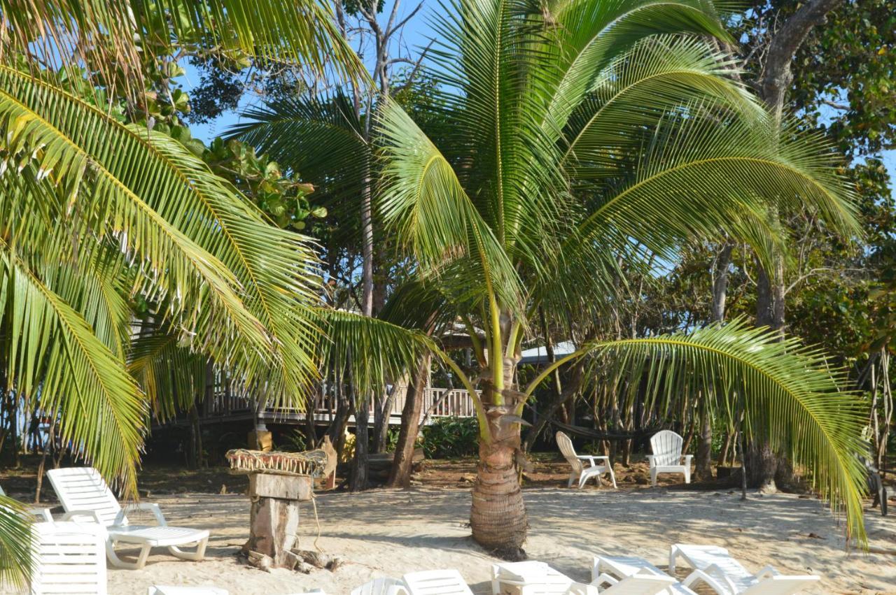 Sonny Island Resort Cabanas Frente Al Mar Punta Bajo Rico Exteriör bild